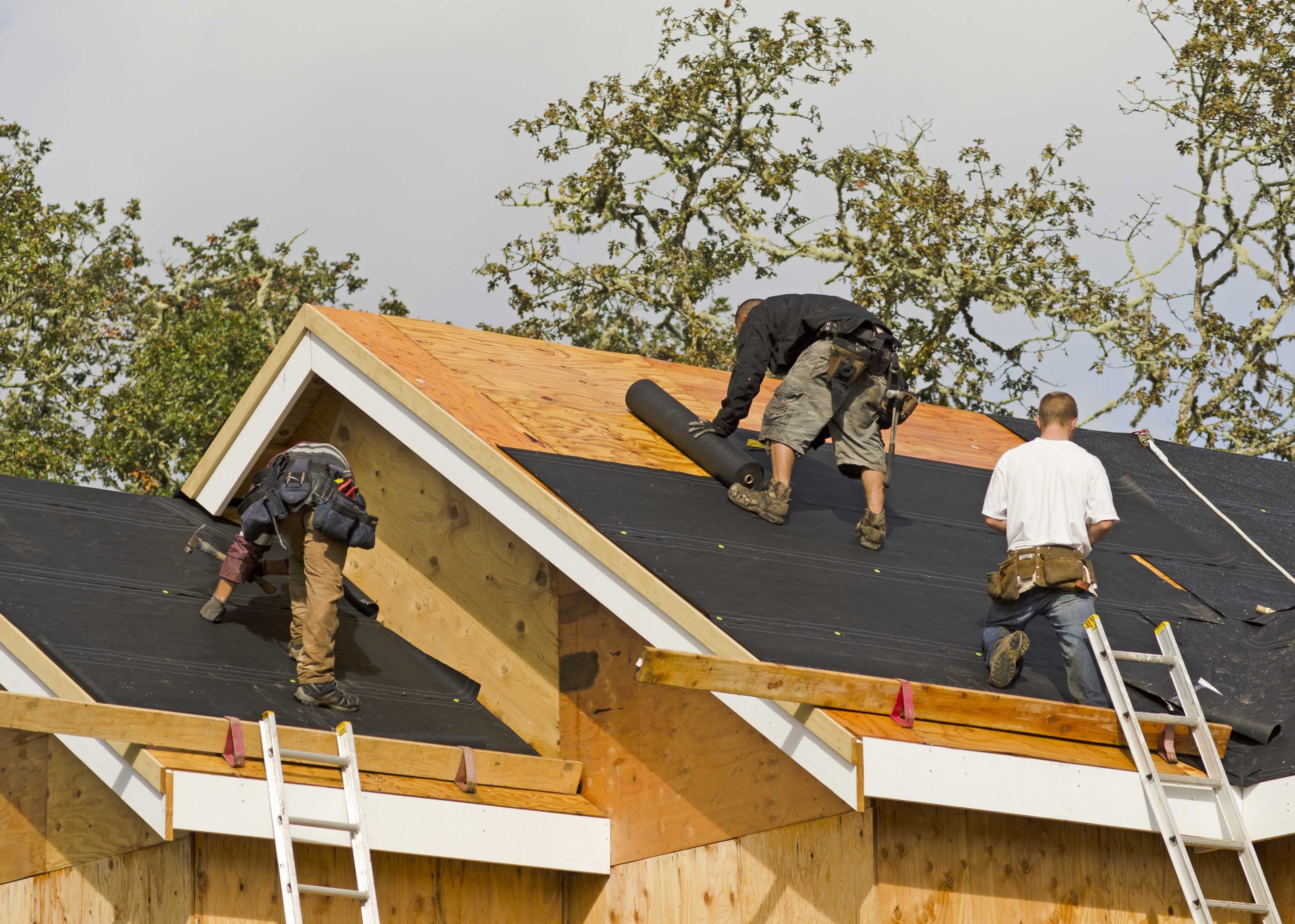 Professional roofers in Alameda